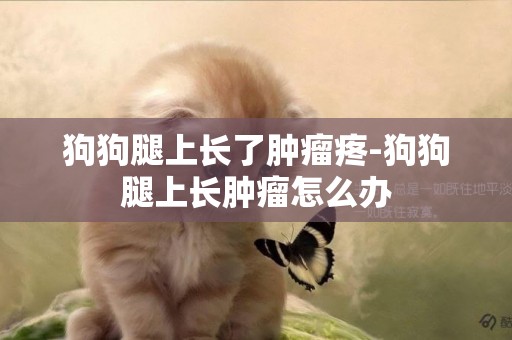 狗狗腿上長了腫瘤疼-狗狗腿上長腫瘤怎么辦