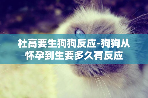杜高要生狗狗反應-狗狗從懷孕到生要多久有反應