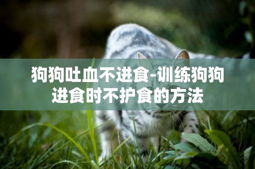 狗狗吐血不進食-訓練狗狗進食時不護食的方法
