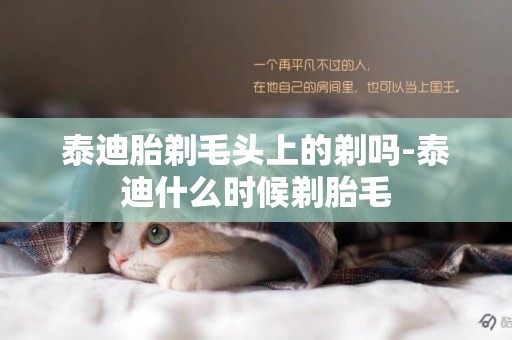 泰迪胎剃毛頭上的剃嗎-泰迪什么時候剃胎毛
