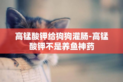 高錳酸鉀給狗狗灌腸-高錳酸鉀不是養魚神藥