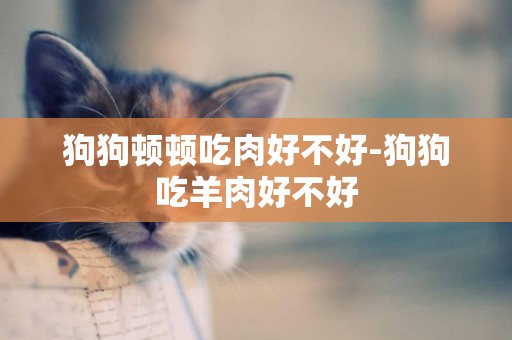 狗狗頓頓吃肉好不好-狗狗吃羊肉好不好