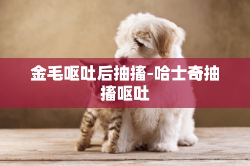 金毛嘔吐后抽搐-哈士奇抽搐嘔吐
