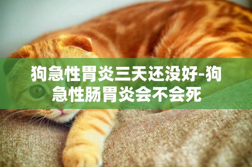 狗急性胃炎三天還沒好-狗急性腸胃炎會不會死