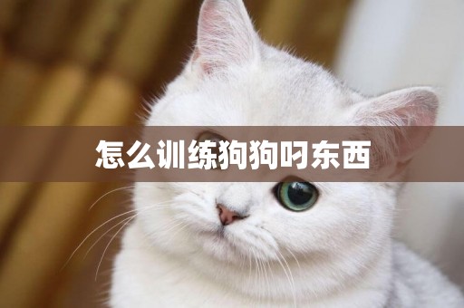 怎么訓練狗狗叼東西