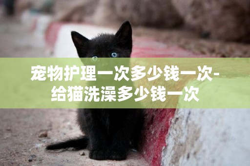 寵物護理一次多少錢一次-給貓洗澡多少錢一次