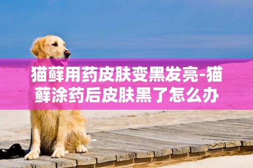 貓蘚用藥皮膚變黑發亮-貓蘚涂藥后皮膚黑了怎么辦
