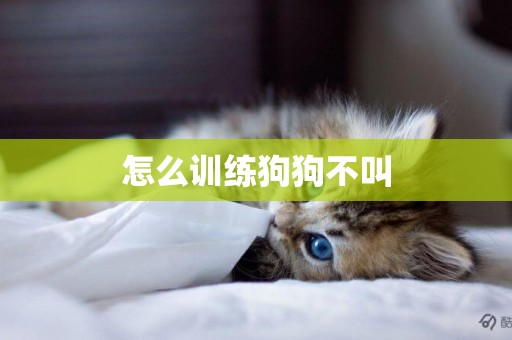 怎么訓練狗狗不叫