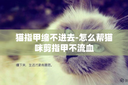 貓指甲縮不進去-怎么幫貓咪剪指甲不流血