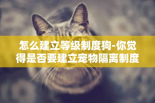 怎么建立等級制度狗-你覺得是否要建立寵物隔離制度