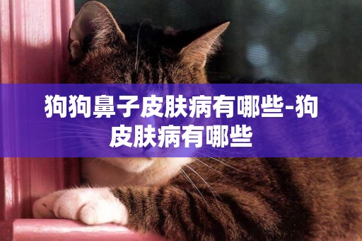 狗狗鼻子皮膚病有哪些-狗皮膚病有哪些