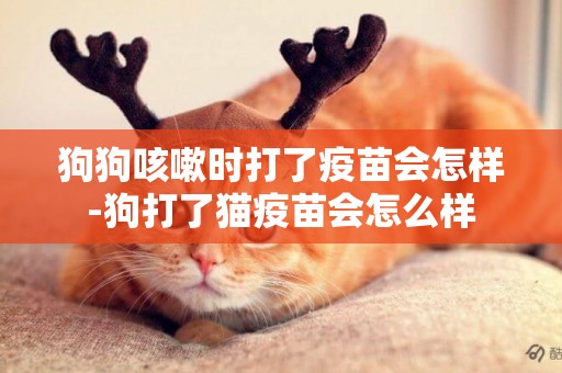 狗狗咳嗽時打了疫苗會怎樣-狗打了貓疫苗會怎么樣