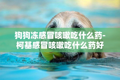 狗狗凍感冒咳嗽吃什么藥-柯基感冒咳嗽吃什么藥好