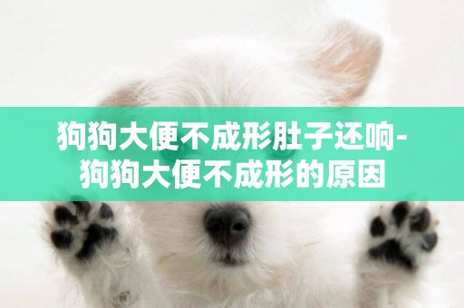 狗狗大便不成形肚子還響-狗狗大便不成形的原因