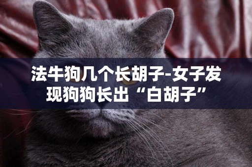 法牛狗幾個長胡子-女子發現狗狗長出“白胡子”