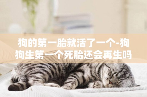狗的第一胎就活了一個-狗狗生第一個死胎還會再生嗎