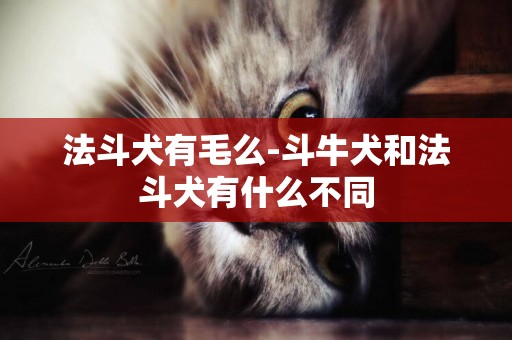 法斗犬有毛么-斗牛犬和法斗犬有什么不同