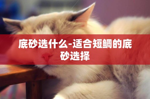 底砂選什么-適合短鯛的底砂選擇