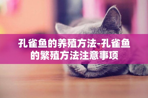 孔雀魚的養殖方法-孔雀魚的繁殖方法注意事項