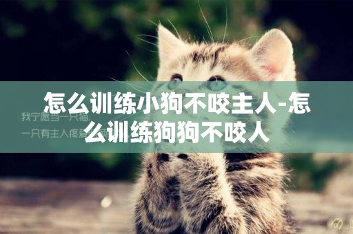 怎么訓練小狗不咬主人-怎么訓練狗狗不咬人