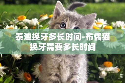 泰迪換牙多長時間-布偶貓換牙需要多長時間