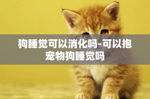 狗睡覺可以消化嗎-可以抱寵物狗睡覺嗎