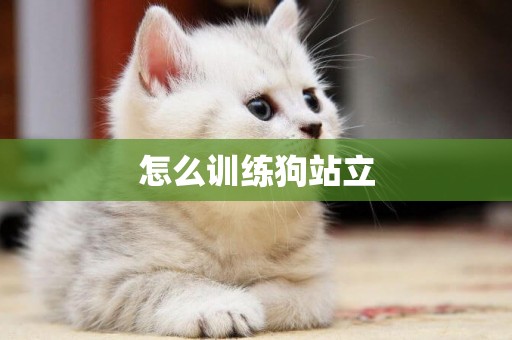怎么訓練狗站立