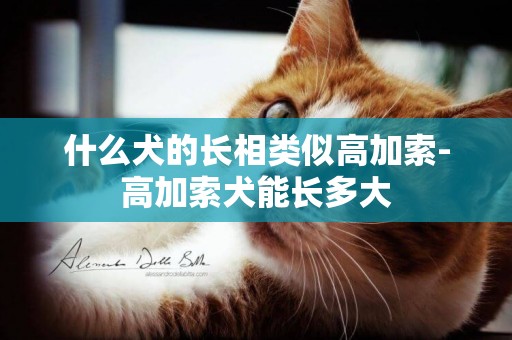 什么犬的長相類似高加索-高加索犬能長多大