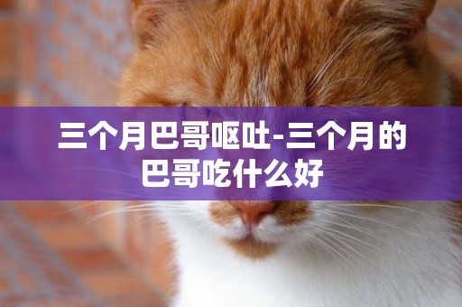 三個月巴哥嘔吐-三個月的巴哥吃什么好