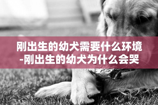 剛出生的幼犬需要什么環境-剛出生的幼犬為什么會哭喊