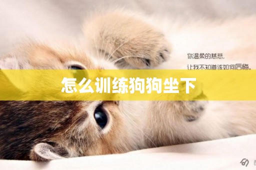 怎么訓練狗狗坐下