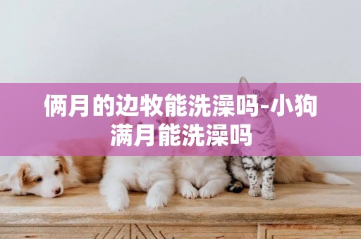 倆月的邊牧能洗澡嗎-小狗滿月能洗澡嗎