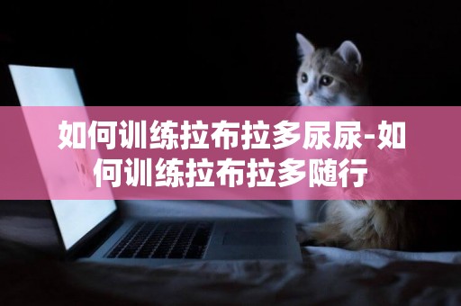 如何訓練拉布拉多尿尿-如何訓練拉布拉多隨行