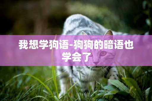 我想學狗語-狗狗的暗語也學會了