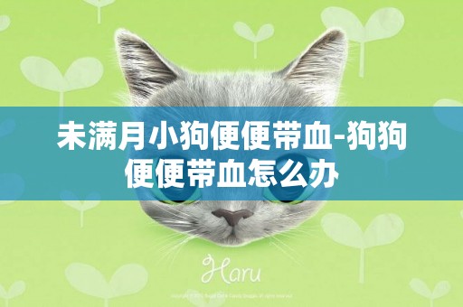 未滿月小狗便便帶血-狗狗便便帶血怎么辦