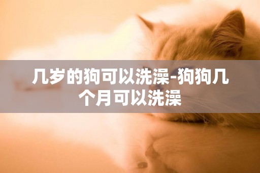 幾歲的狗可以洗澡-狗狗幾個月可以洗澡