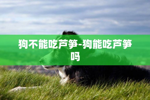 狗不能吃蘆筍-狗能吃蘆筍嗎