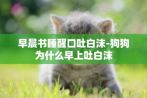 早晨書睡醒口吐白沫-狗狗為什么早上吐白沫