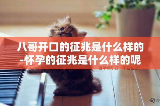 八哥開口的征兆是什么樣的-懷孕的征兆是什么樣的呢