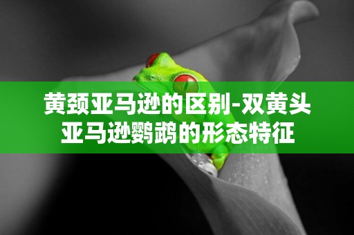 黃頸亞馬遜的區別-雙黃頭亞馬遜鸚鵡的形態特征
