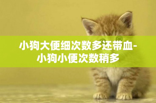 小狗大便細次數多還帶血-小狗小便次數稍多