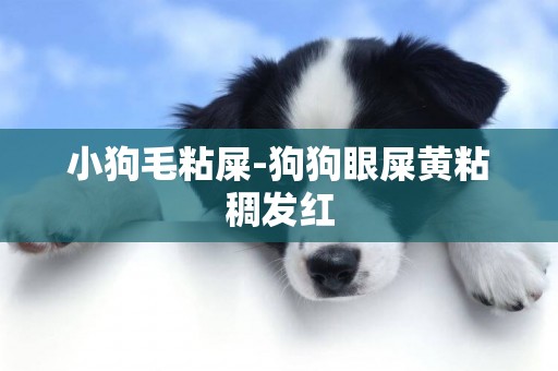 小狗毛粘屎-狗狗眼屎黃粘稠發紅