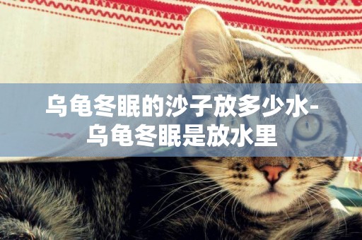 烏龜冬眠的沙子放多少水-烏龜冬眠是放水里