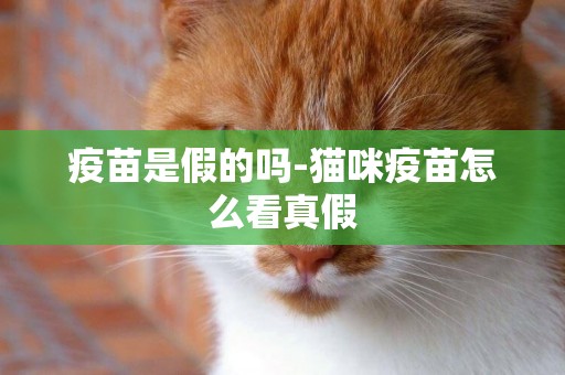 疫苗是假的嗎-貓咪疫苗怎么看真假