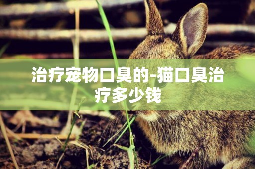 治療寵物口臭的-貓口臭治療多少錢