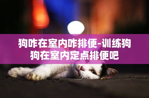 狗咋在室內咋排便-訓練狗狗在室內定點排便吧