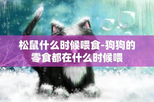 松鼠什么時候喂食-狗狗的零食都在什么時候喂
