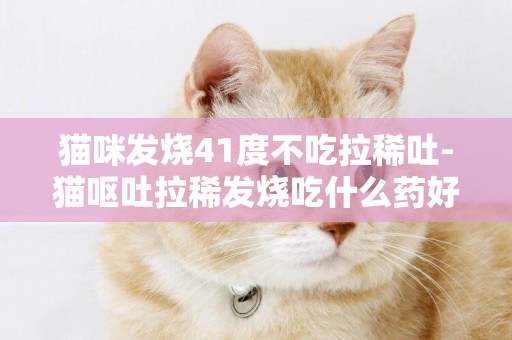 貓咪發燒41度不吃拉稀吐-貓嘔吐拉稀發燒吃什么藥好