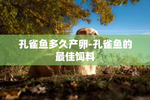 孔雀魚多久產卵-孔雀魚的最佳飼料