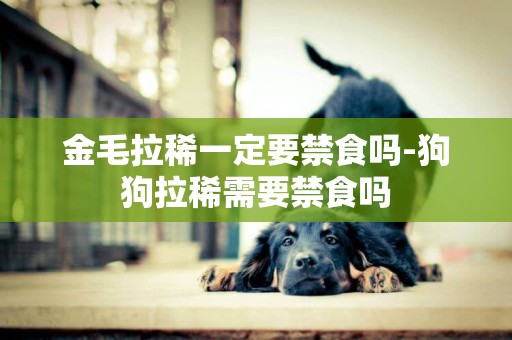 金毛拉稀一定要禁食嗎-狗狗拉稀需要禁食嗎